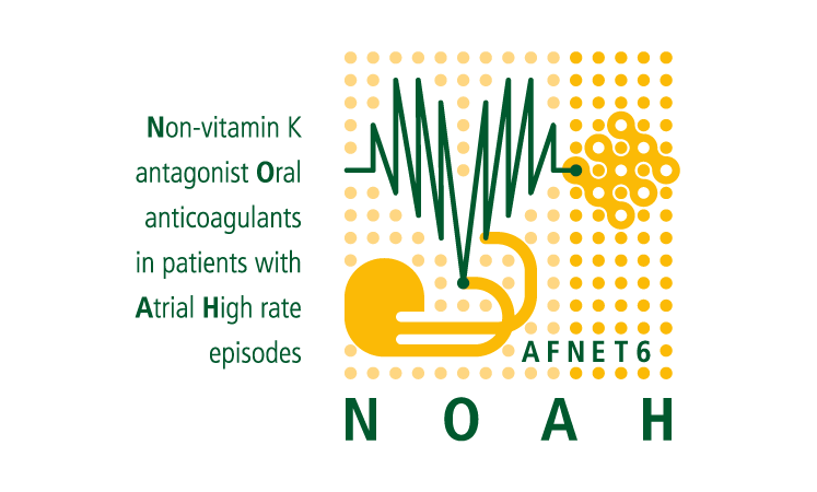 NOAH Logo